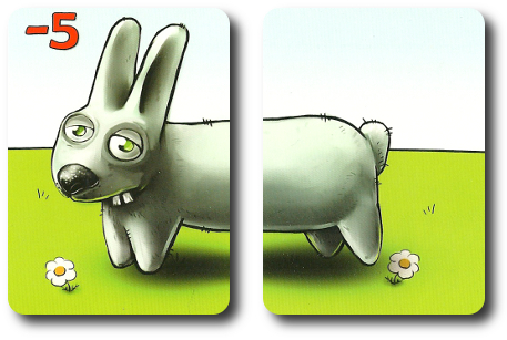 Example of a complete "Rabbit" Animal card set