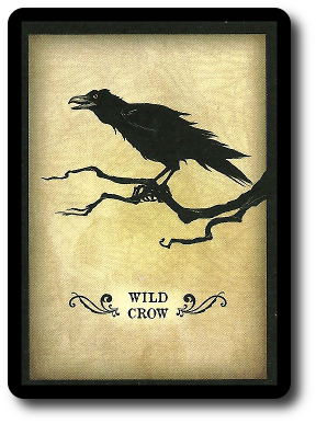 murderofcrows_wild